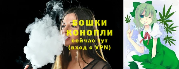 твердый Ростов